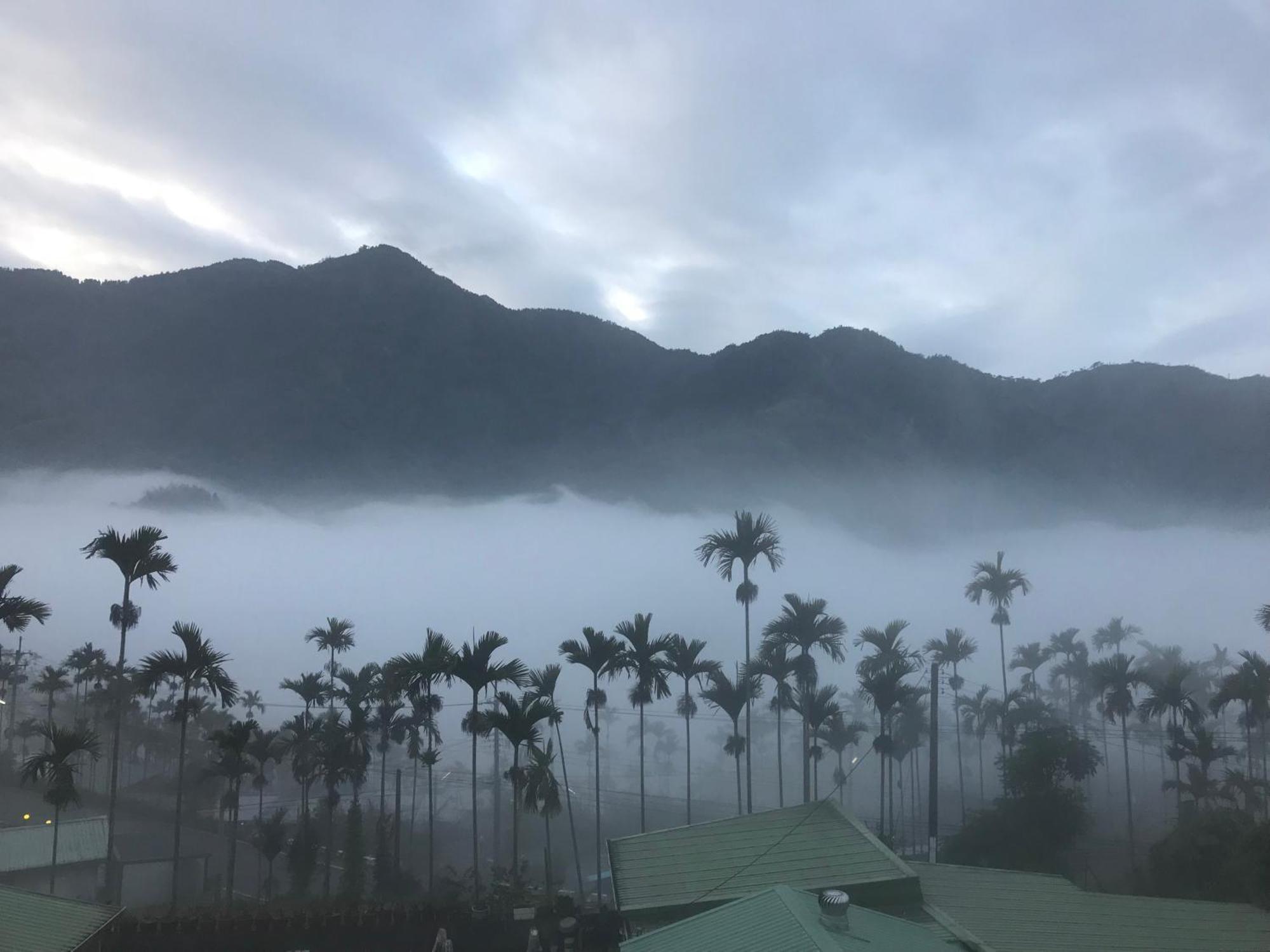 Апартаменты De Ren Tea Gardens Meishan Экстерьер фото