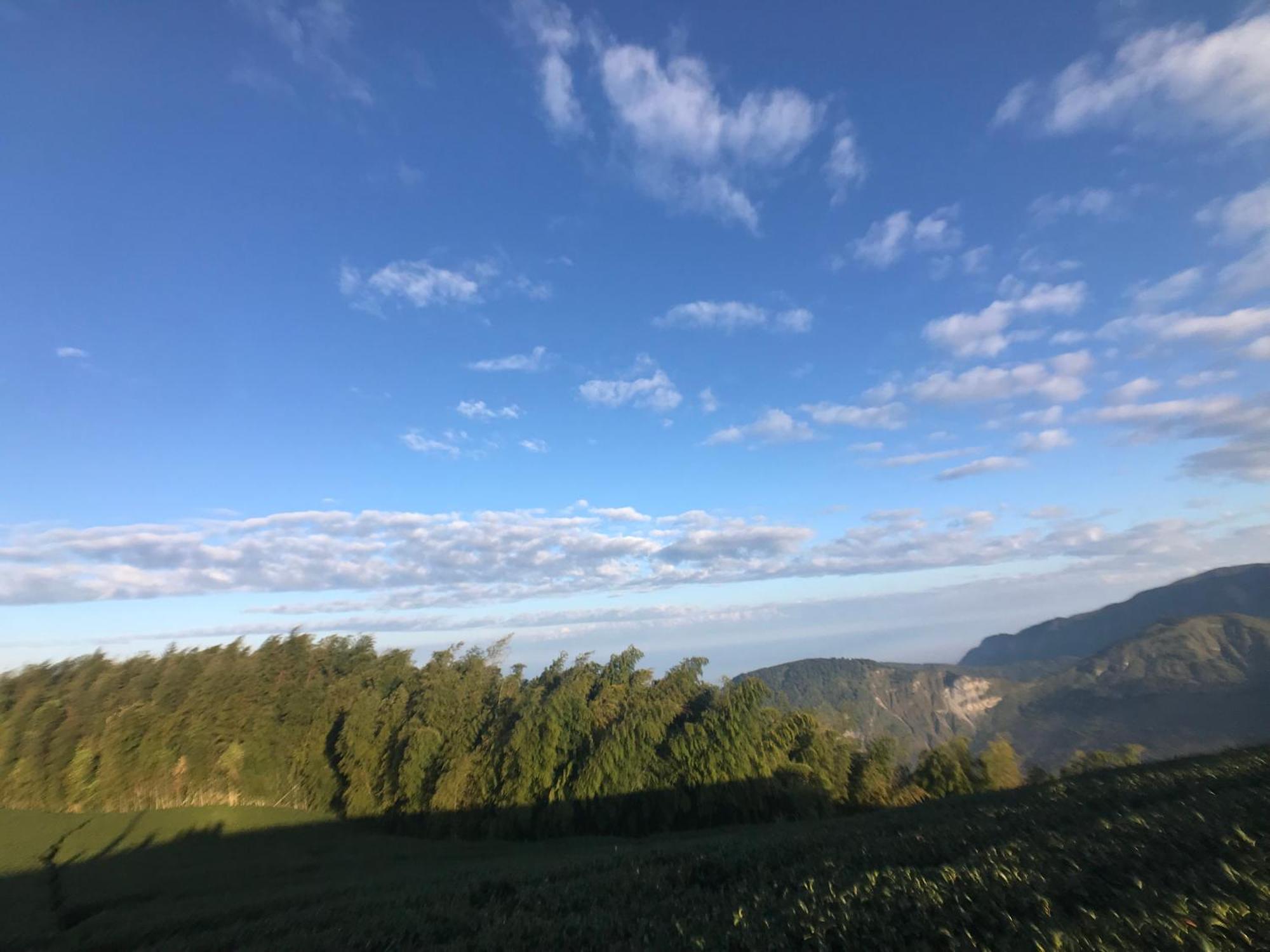 Апартаменты De Ren Tea Gardens Meishan Экстерьер фото