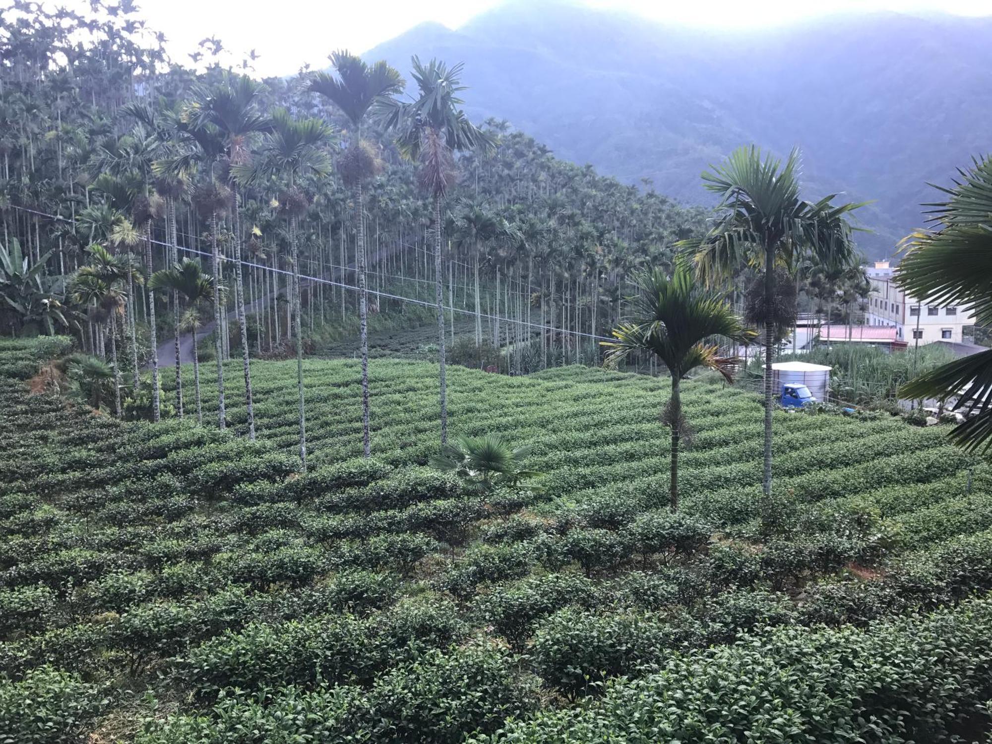 Апартаменты De Ren Tea Gardens Meishan Экстерьер фото