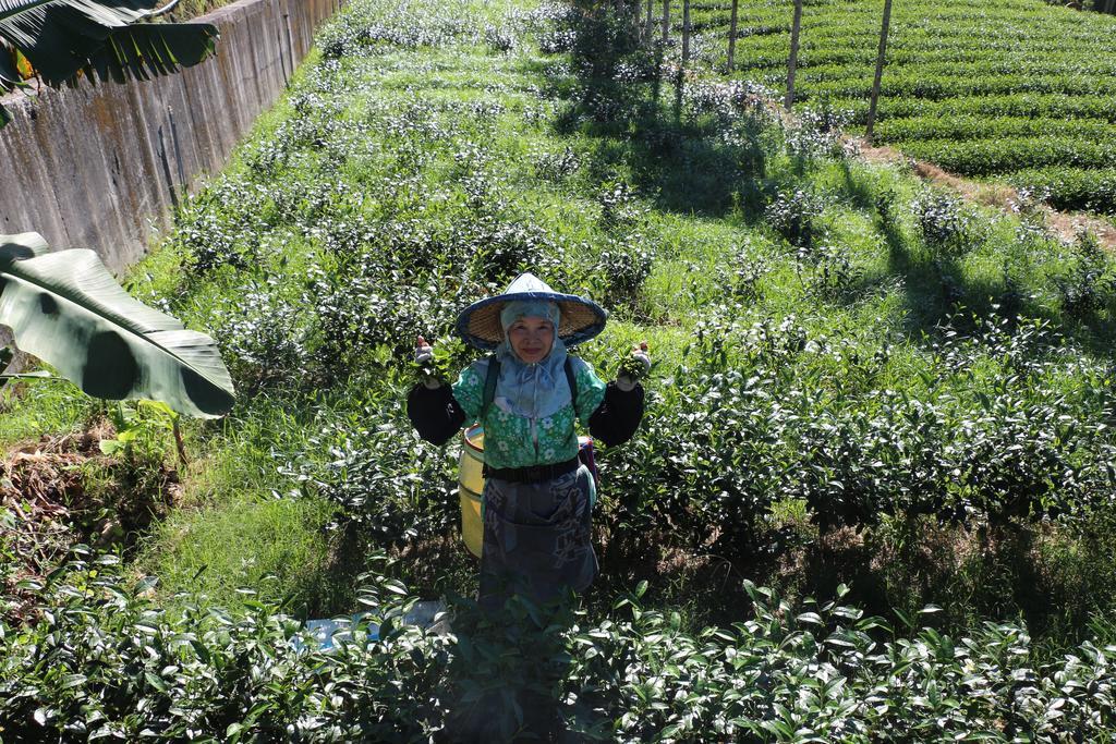 Апартаменты De Ren Tea Gardens Meishan Экстерьер фото